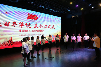 红心向党歌飞扬 公益风采百年彰——记民政部部管社会组织综合党委第四党建工作站主题党日活动